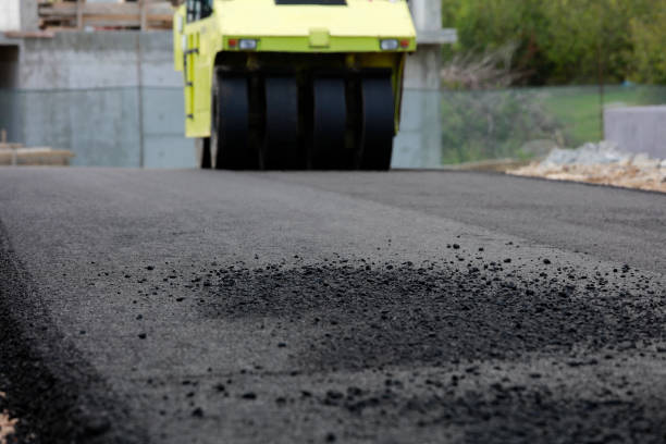 Best Local Driveway Pavers  in Frewsburg, NY
